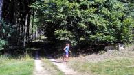 IMG_20160825_105344_HDR.jpg